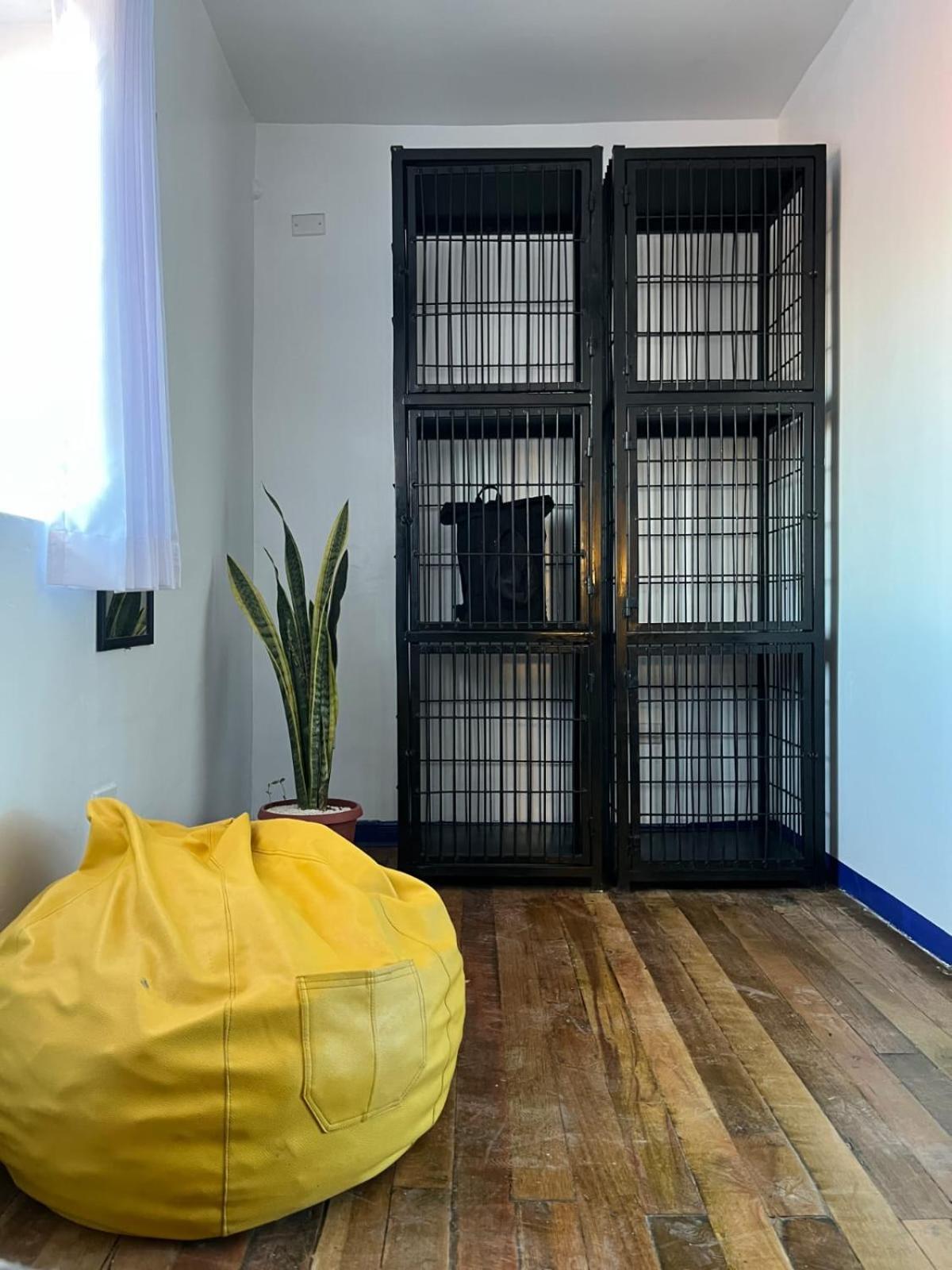 Haku Hostel Cuzco Zewnętrze zdjęcie