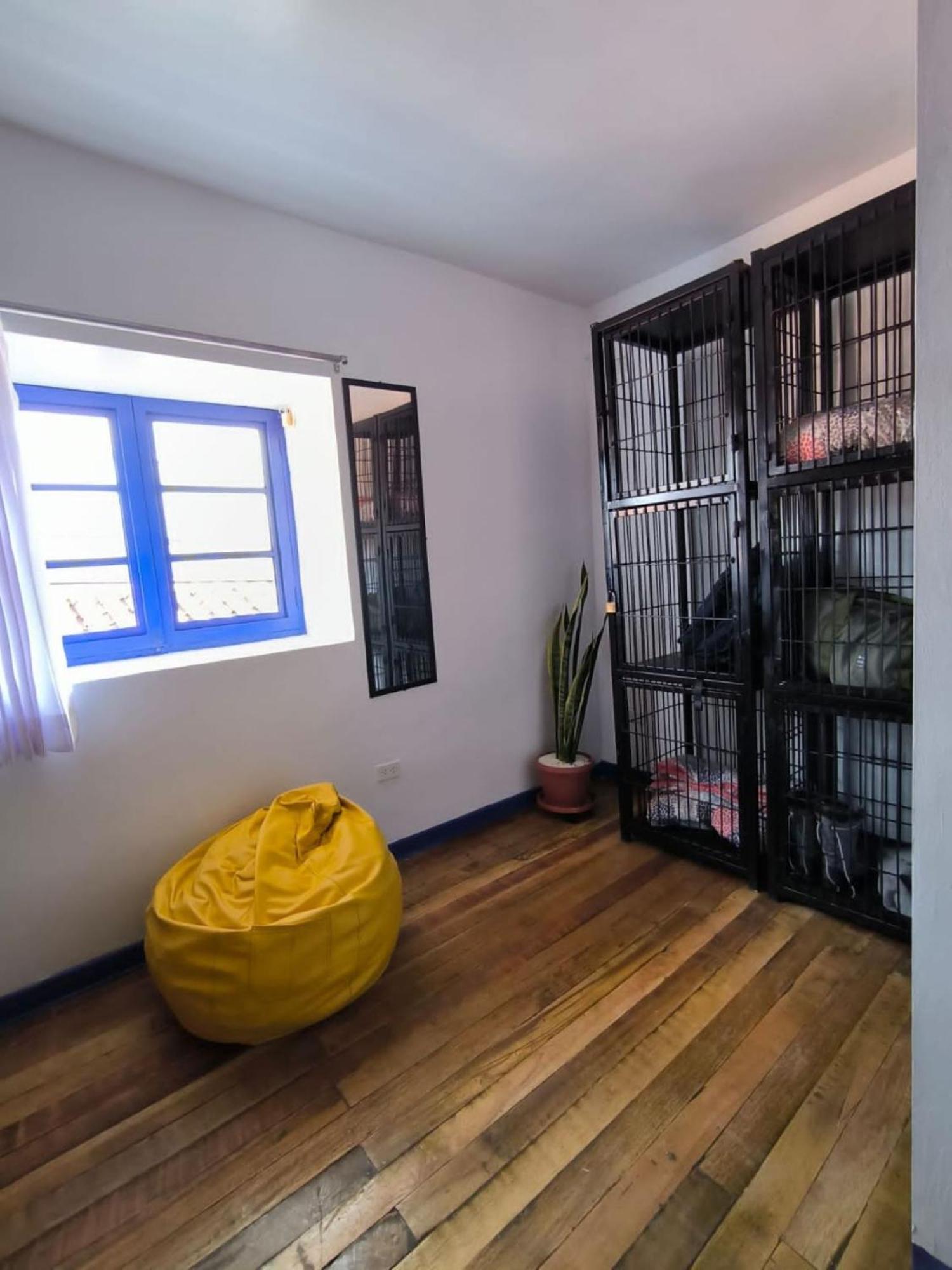 Haku Hostel Cuzco Zewnętrze zdjęcie